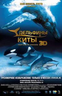 Фильм Дельфины и киты 3D (2008) скачать торрент