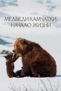 Фильм Медведи Камчатки. Начало жизни (2018) скачать торрент