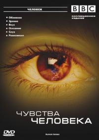 Сериал BBC: Чувства человека (2003) скачать торрент