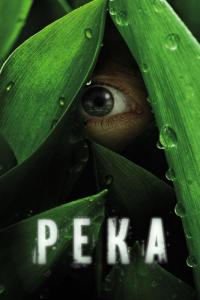 Сериал Река (2012) скачать торрент